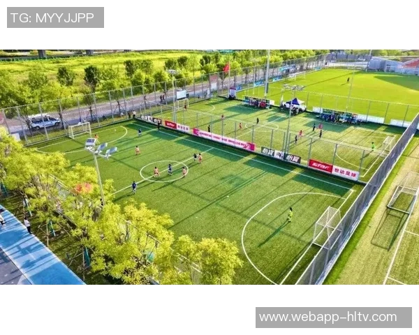 推动举国体制下的足球发展助力国家体育事业全面提升与国际竞争力增强